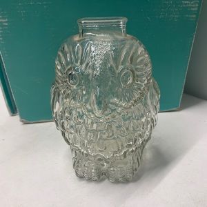 Glass Owl Bank, Vintage Clear Glass Wise Old Owl Bank